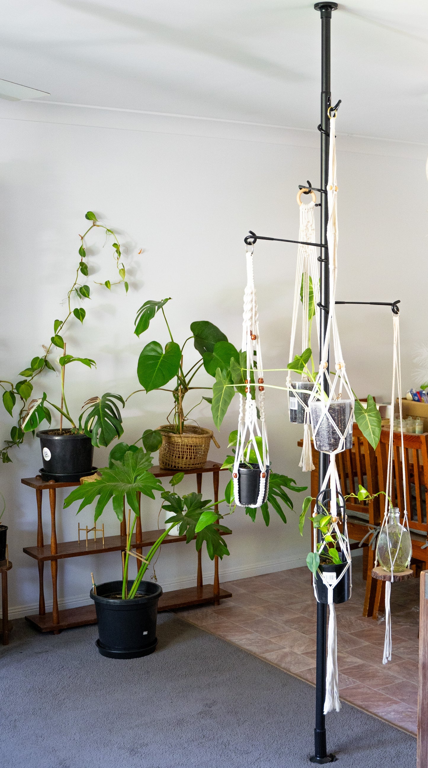 Adjustable Plant Hanging Pole - Black