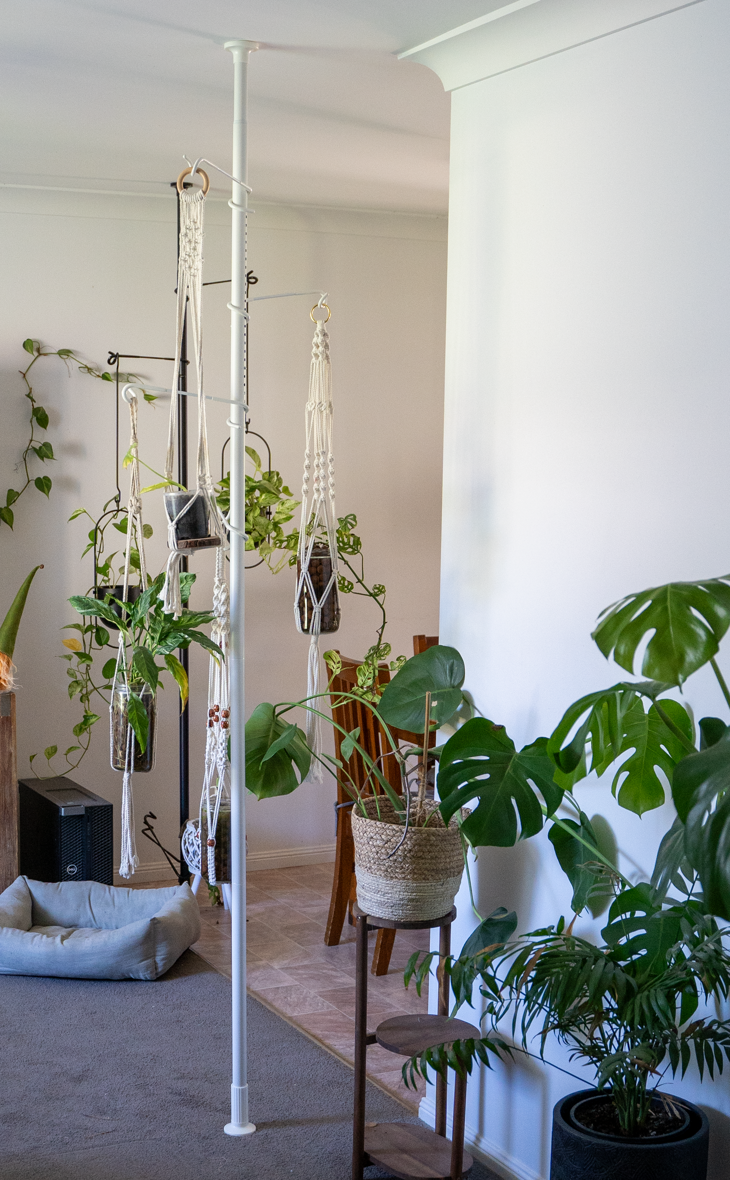 Adjustable Plant Hanging Pole - White